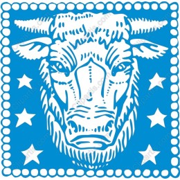 Bold Cow Head