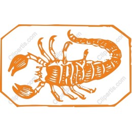 Bold Scorpion