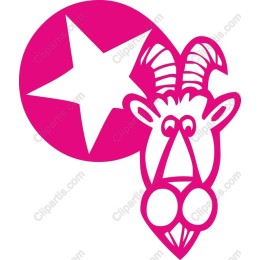 Quirky Goat