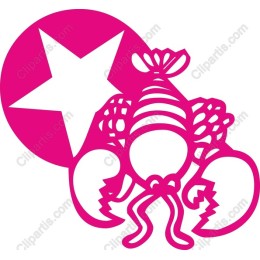 Vibrant Pink Lobster