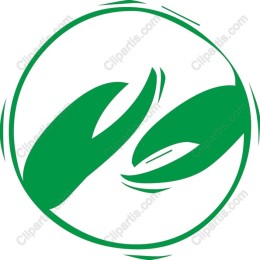 Elegant Green Leaves
