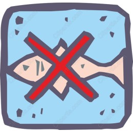 No Fish