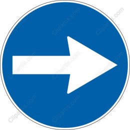 Vibrant Right Arrow Icon