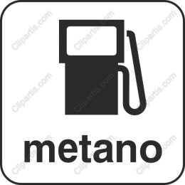 Metano Fuel Pump