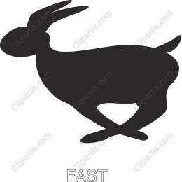 Fast Rabbit
