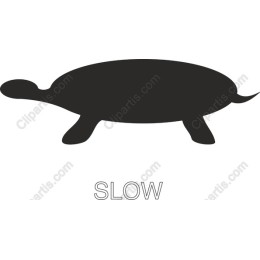 Charming Turtle - Slow