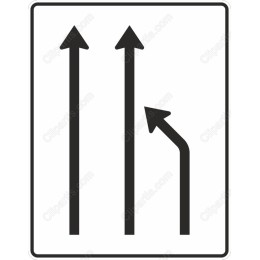 Directional Arrows