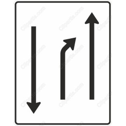 Dynamic Arrow