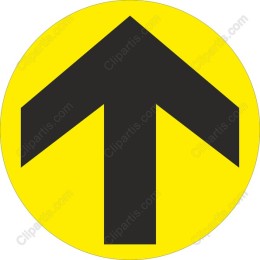 Vibrant Directional Arrow