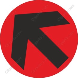 Bold Red Left Arrow Icon