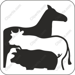 Farm Animals