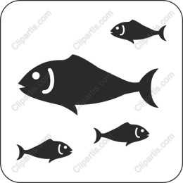 Minimalist Fish Set