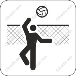Dynamic Volleyball Player