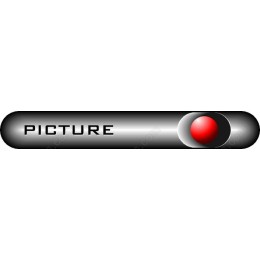 Stylish Black and Silver Button
