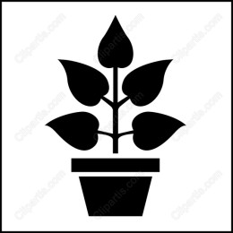 Elegant Potted Plant