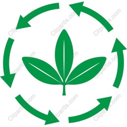 Eco-Friendly Green Leaf