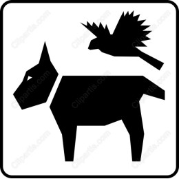 Dog and Bird