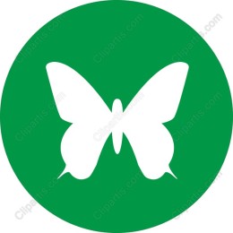 White Butterfly