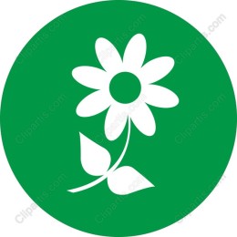 Charming Flower