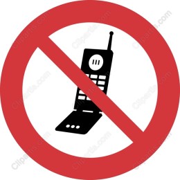 No Flip Phone