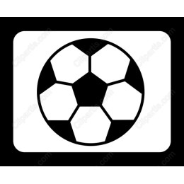 Premium Soccer Ball