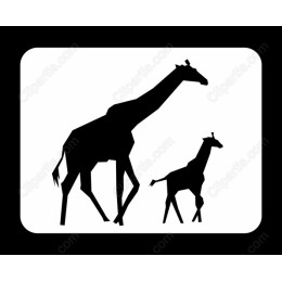 Majestic Giraffe and Calf