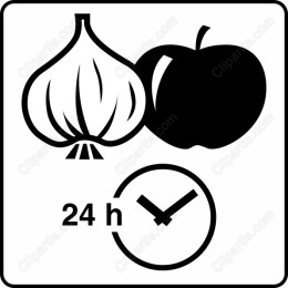 Garlic and Apple with 24-Hour Clock