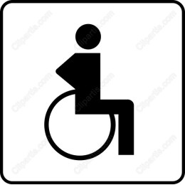 Accessible Wheelchair User