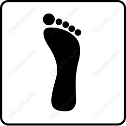 Foot