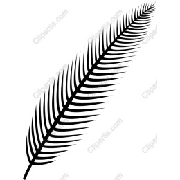 Elegant Black Leaf
