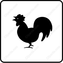 Charming Rooster