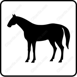 Elegant Horse