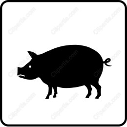 Black Pig