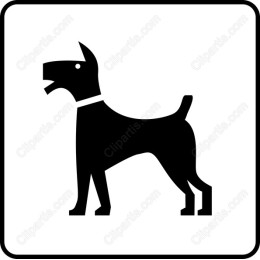 Black Dog