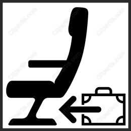 Airplane Seat and Luggage