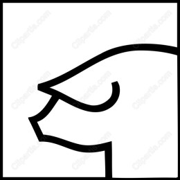 Minimalist Bull