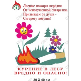 Eco-Friendly Forest Fire Awareness