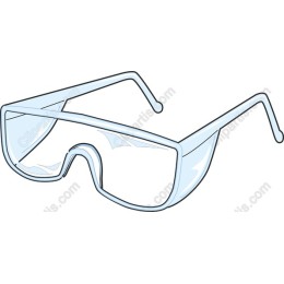 Protective Goggles