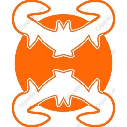 Vibrant Orange Crab