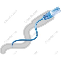Ethernet Cable