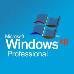 Microsoft Windows XP Iconic Logo