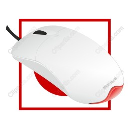 Classic Microsoft Mouse