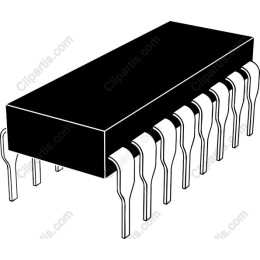 Integrated Circuit Chip