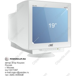 19-Inch Computer Monitor
