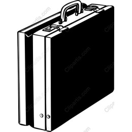 Professional Briefcase