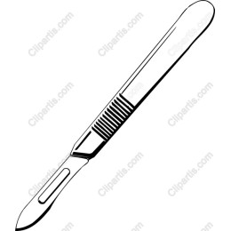 Precision Scalpel