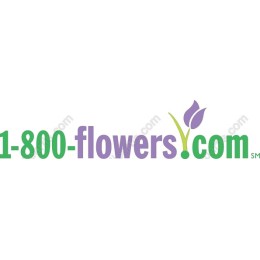 Elegant Floral