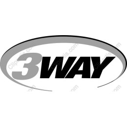 3-Way Dynamic Logo