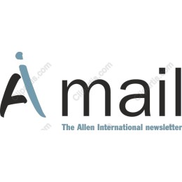 A Mail Logo