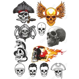 Ultimate Skull Set - Bundle